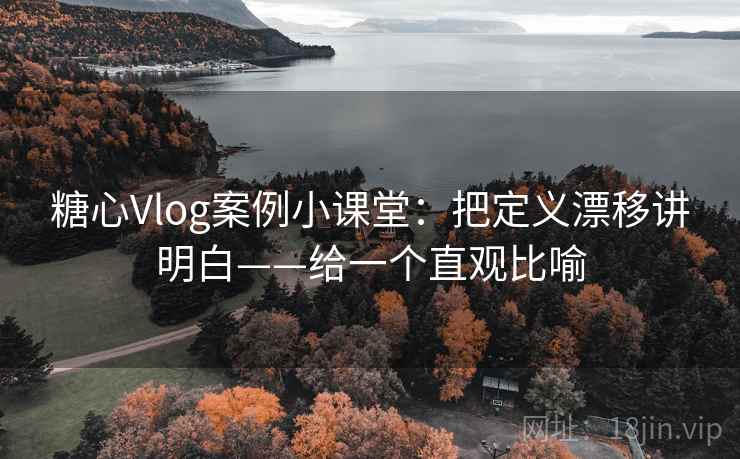糖心Vlog案例小课堂：把定义漂移讲明白——给一个直观比喻