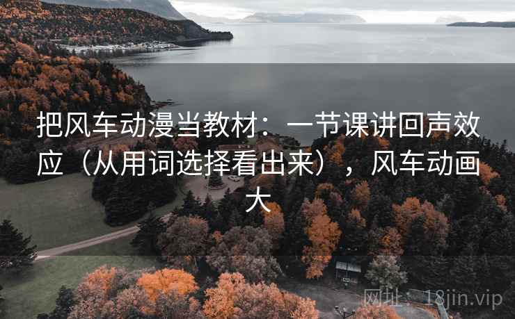 把风车动漫当教材:一节课讲回声效应(从用词选择看出来),风车动画大