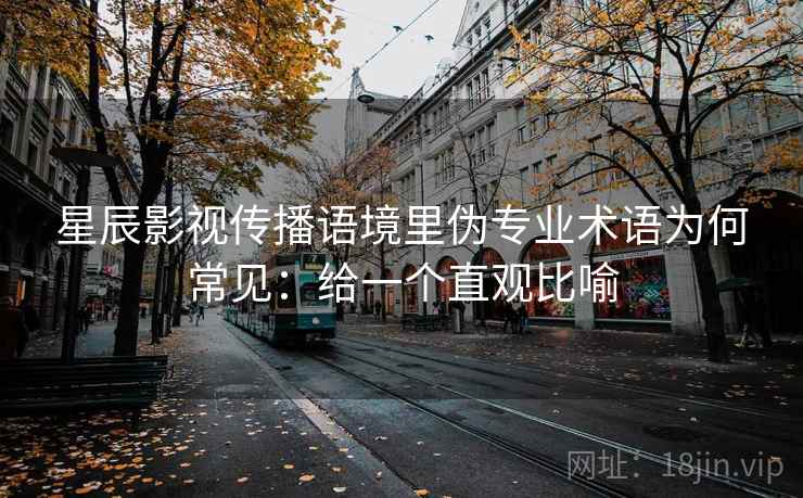 星辰影视传播语境里伪专业术语为何常见：给一个直观比喻